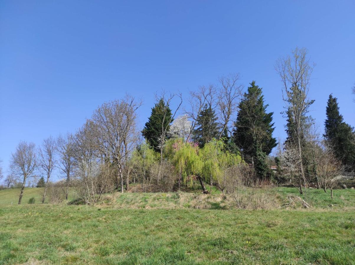 L'oree Des Bois *